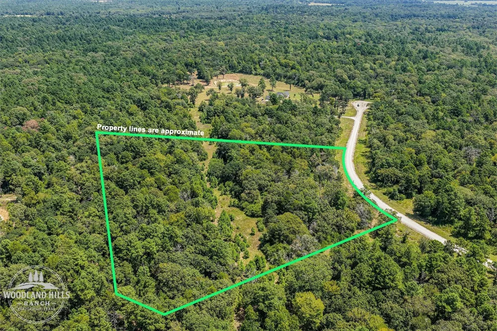 10 Lot 81 Woodland Hills Ranch Centerville, TX 75833