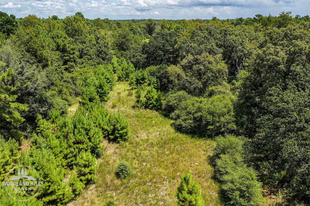 10 Lot 81 Woodland Hills Ranch Centerville, TX 75833