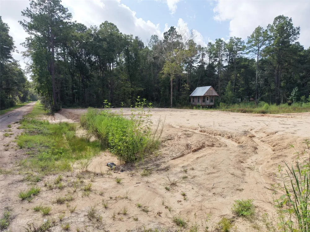 15782 Largent Drive Plantersville, TX 77363