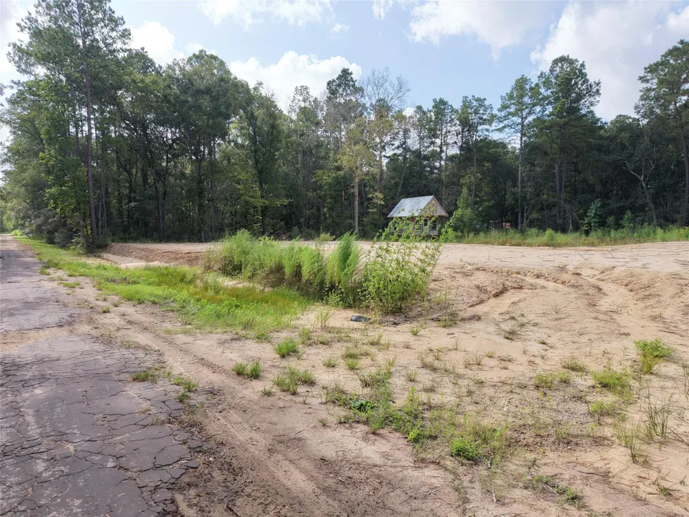 15782 Largent Drive Plantersville, TX 77363