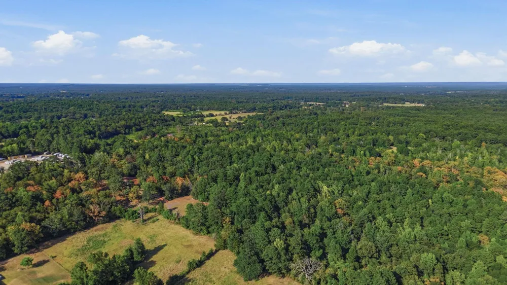 An County Road 359 Palestine, TX 75801