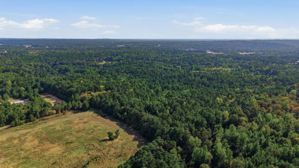 An County Road 359 Palestine, TX 75801