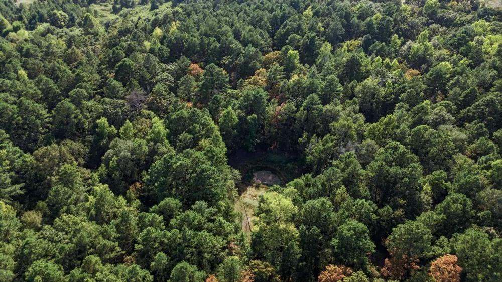 An County Road 359 Palestine, TX 75801