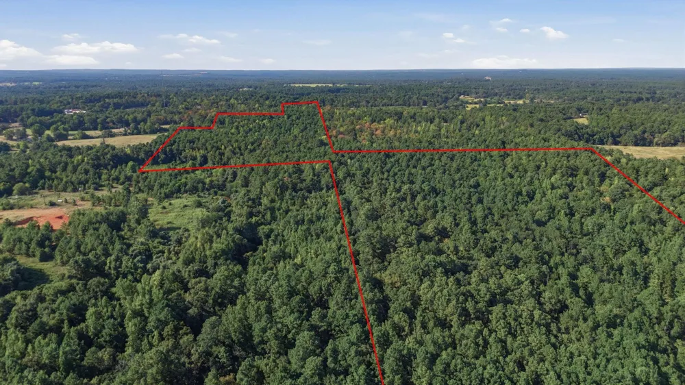 An County Road 359 Palestine, TX 75801