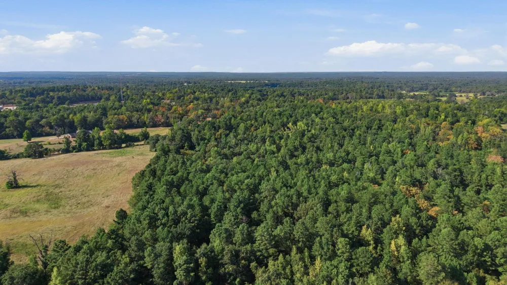 An County Road 359 Palestine, TX 75801