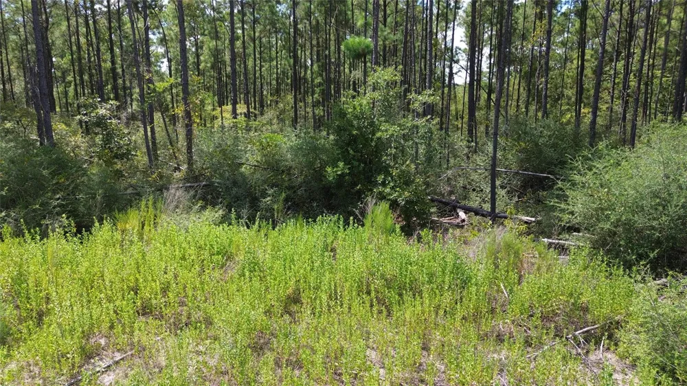 18 Pr 8160 Lovelady, TX 75851