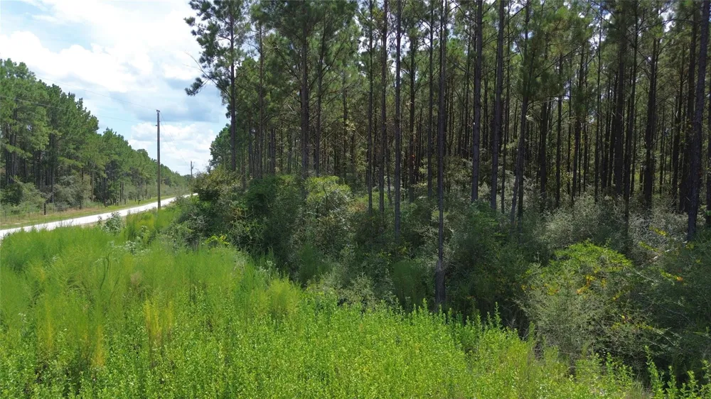 18 Pr 8160 Lovelady, TX 75851