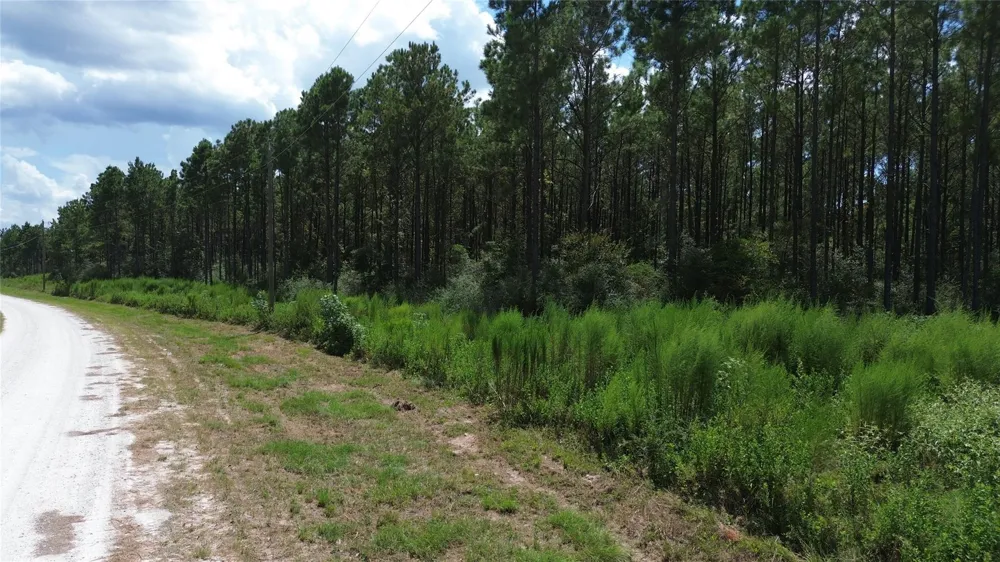 18 Pr 8160 Lovelady, TX 75851