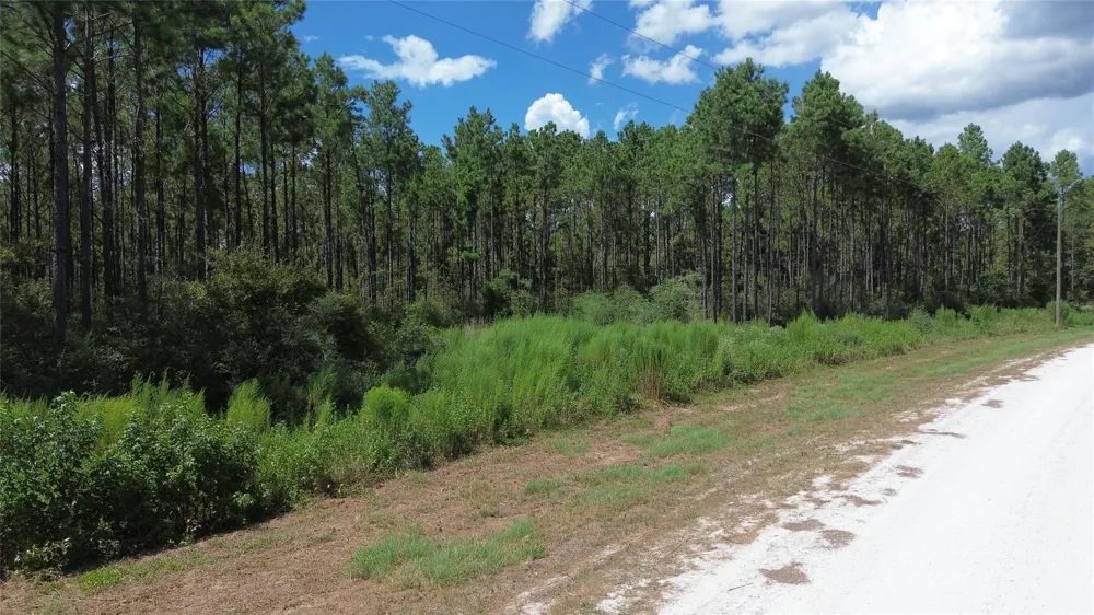 18 Pr 8160 Lovelady, TX 75851