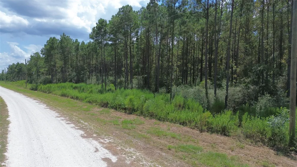 18 Pr 8160 Lovelady, TX 75851