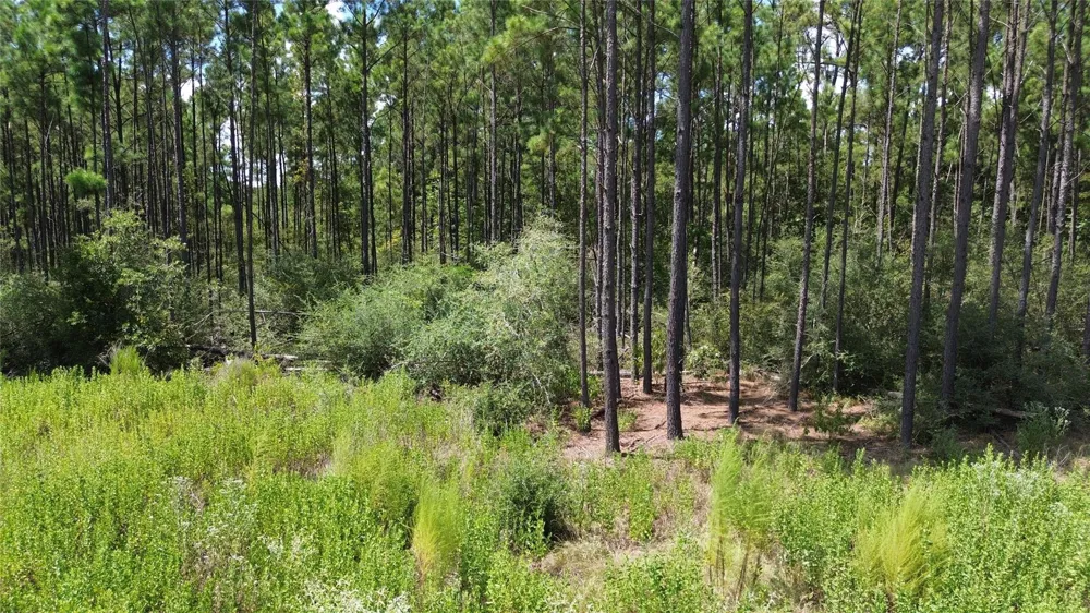 18 Pr 8160 Lovelady, TX 75851