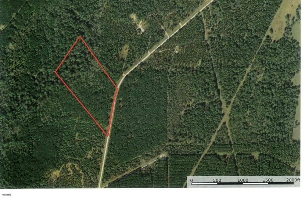 18 Pr 8160 Lovelady, TX 75851