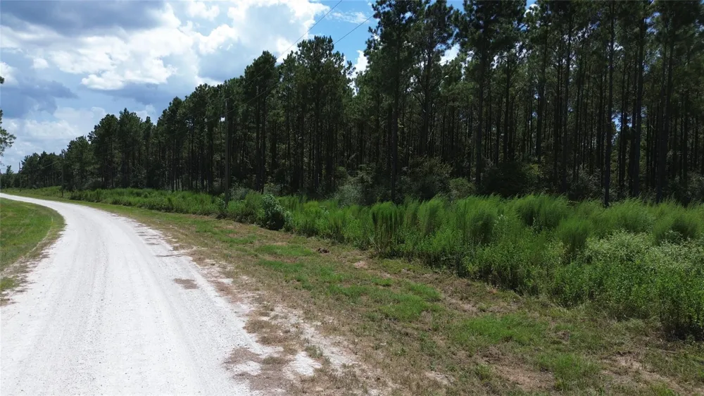 18 Pr 8160 Lovelady, TX 75851