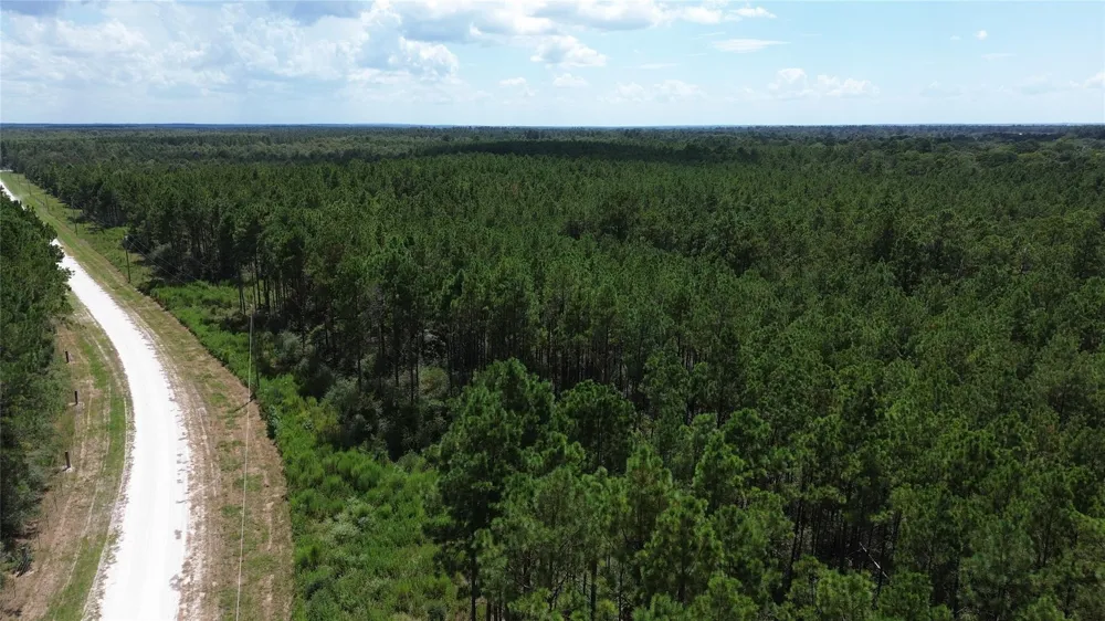 18 Pr 8160 Lovelady, TX 75851