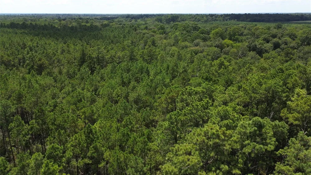 18 Pr 8160 Lovelady, TX 75851
