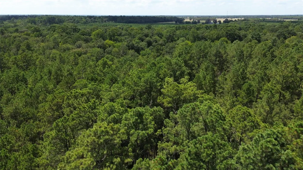 18 Pr 8160 Lovelady, TX 75851