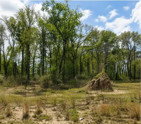 6082 Road 5872