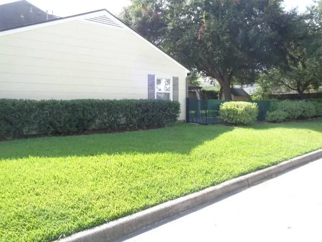 5125 Locust Street Bellaire, TX 77401