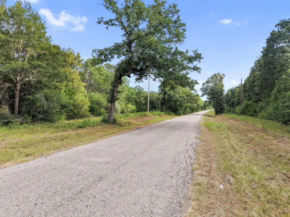 Cr 102 Leona, TX 75850