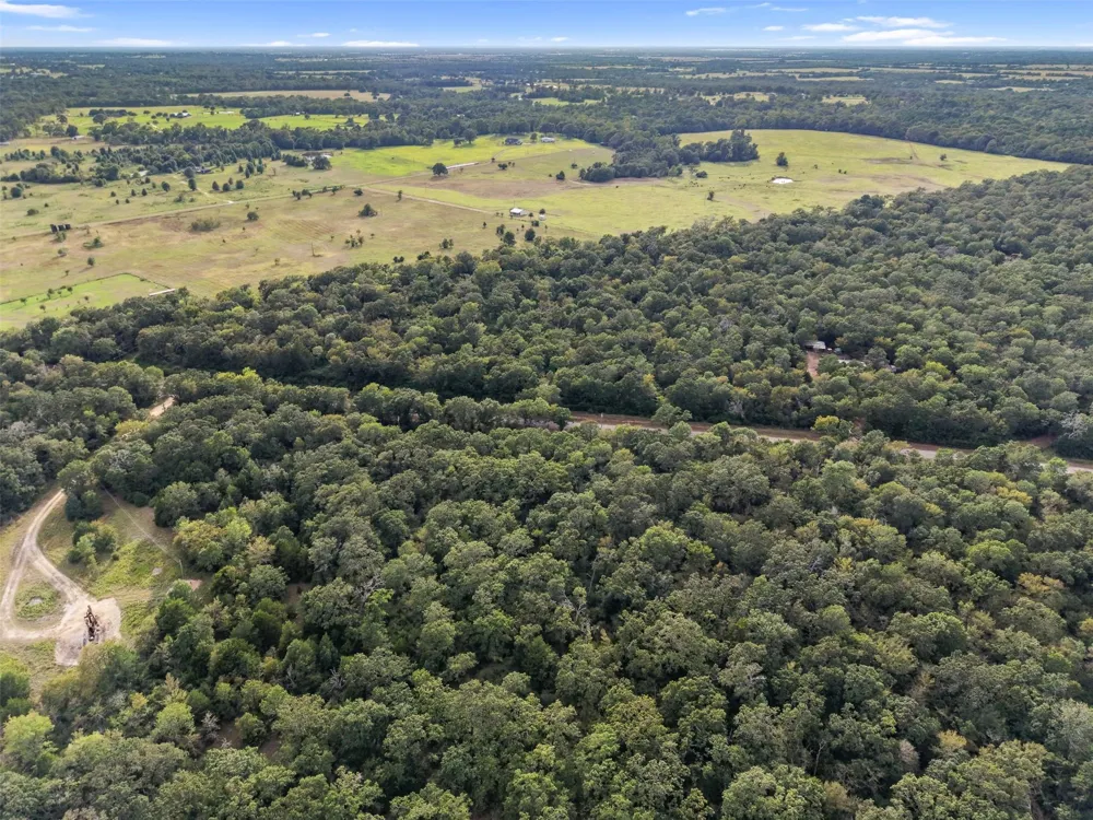 Cr 102 Leona, TX 75850