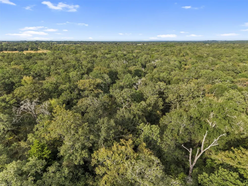 Cr 102 Leona, TX 75850