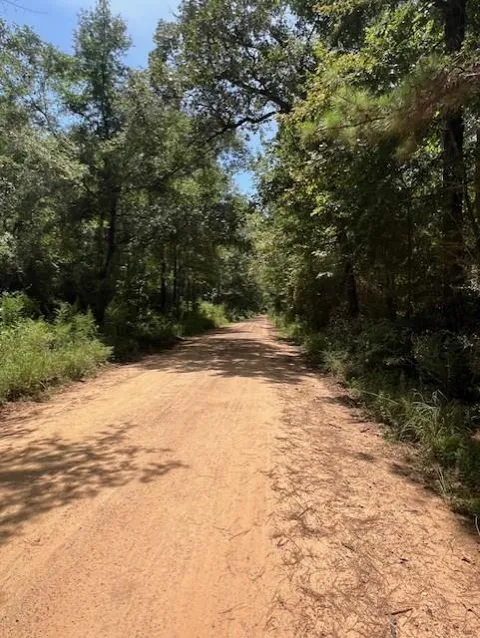 Camp Seale Rd