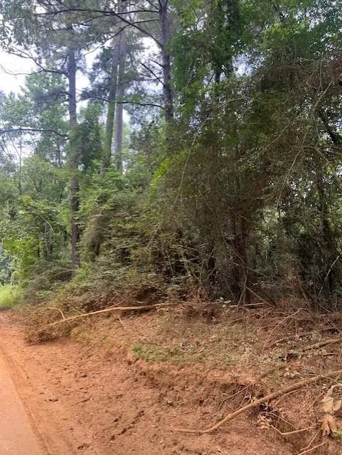Camp Seale Rd Livingston, TX 77351