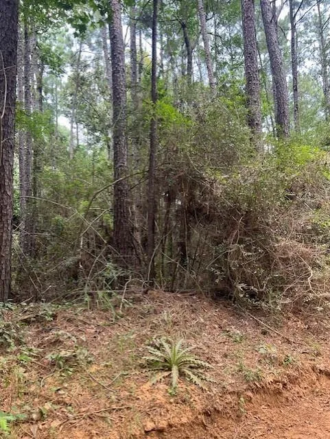 Camp Seale Rd Livingston, TX 77351