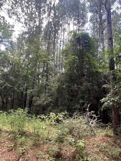 Camp Seale Rd Livingston, TX 77351