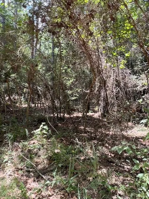 Camp Seale Rd Livingston, TX 77351