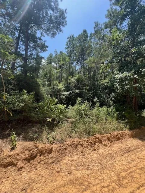 Camp Seale Rd Livingston, TX 77351