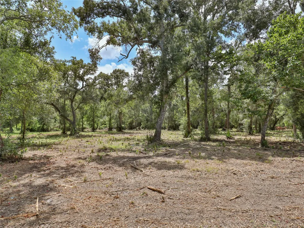 2289 Cr-851 Brazoria, TX 77422