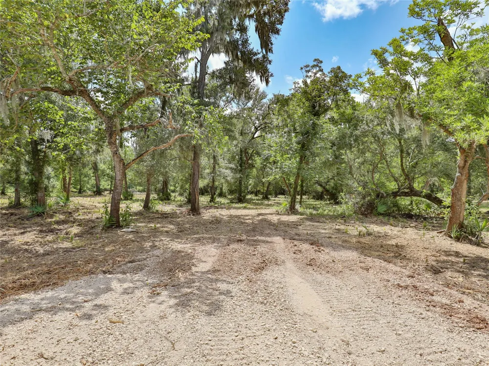 2289 Cr-851 Brazoria, TX 77422