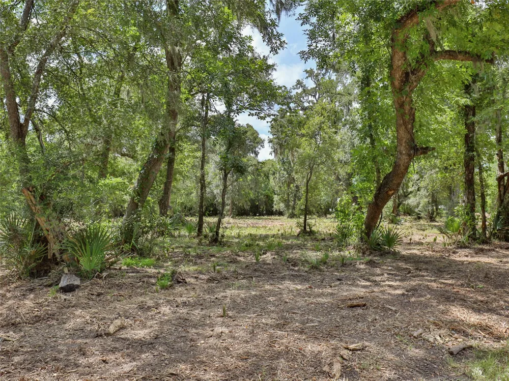 2289 Cr-851 Brazoria, TX 77422