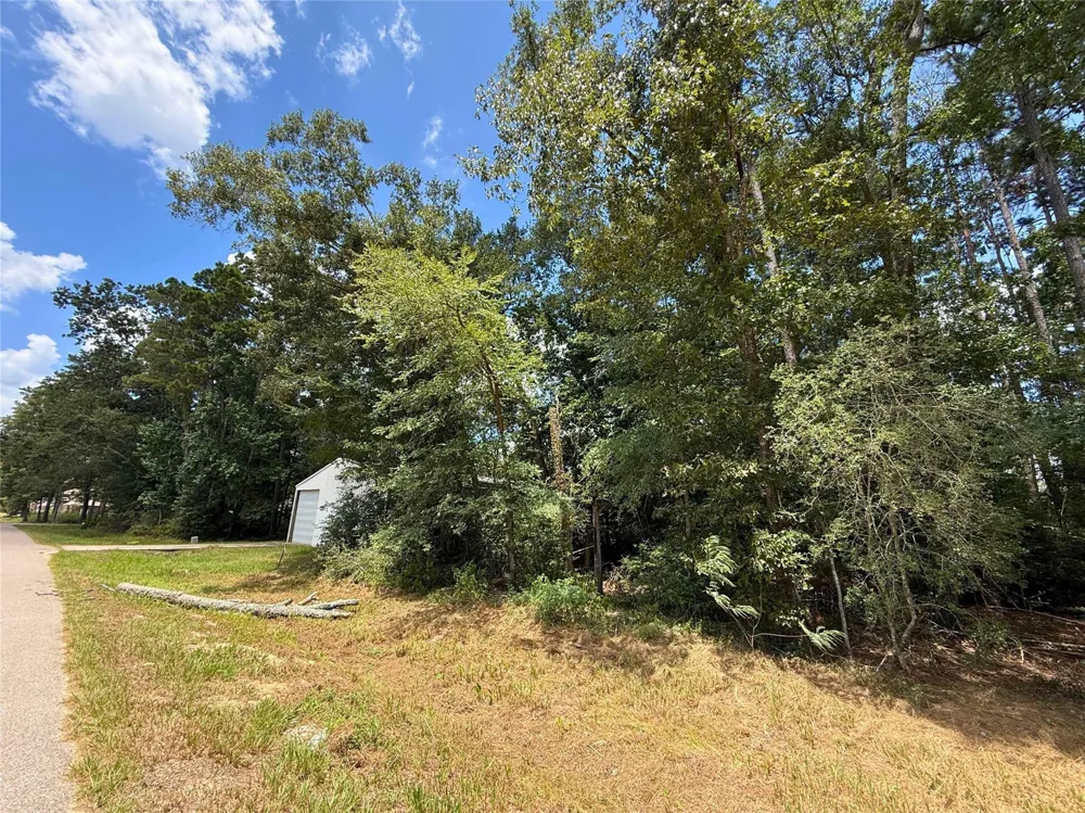 Colesseum Court S Roman Forest, TX 77357