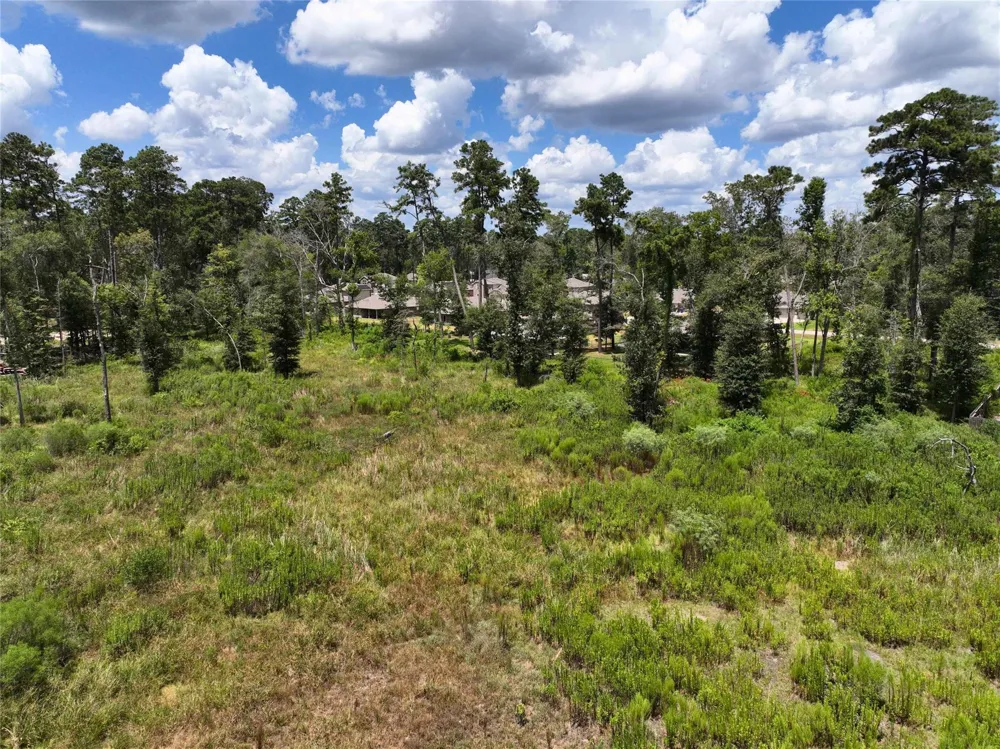 Colesseum Court S Roman Forest, TX 77357