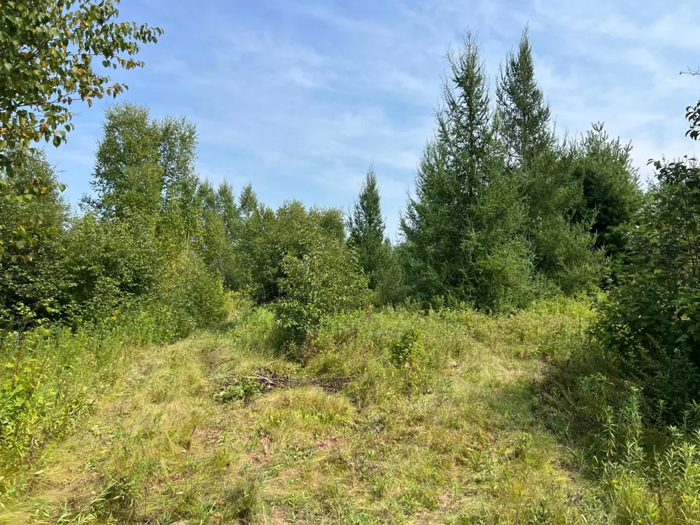 000 State HWY 48 Hinckley, MN 55037