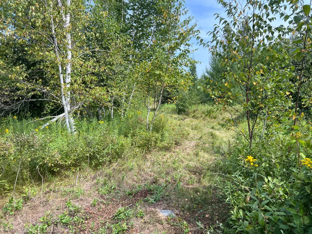 000 State HWY 48 Hinckley, MN 55037