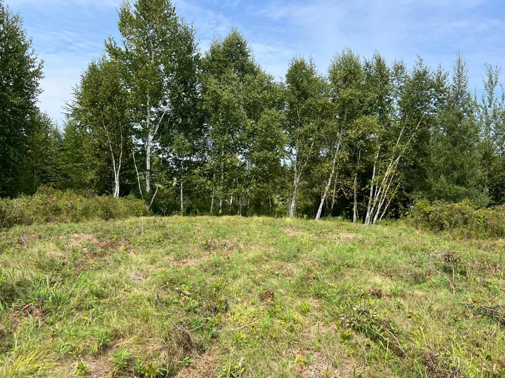 000 State HWY 48 Hinckley, MN 55037