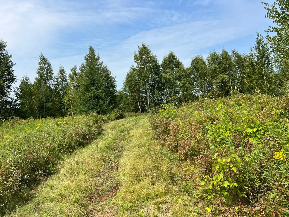 000 State HWY 48 Hinckley, MN 55037