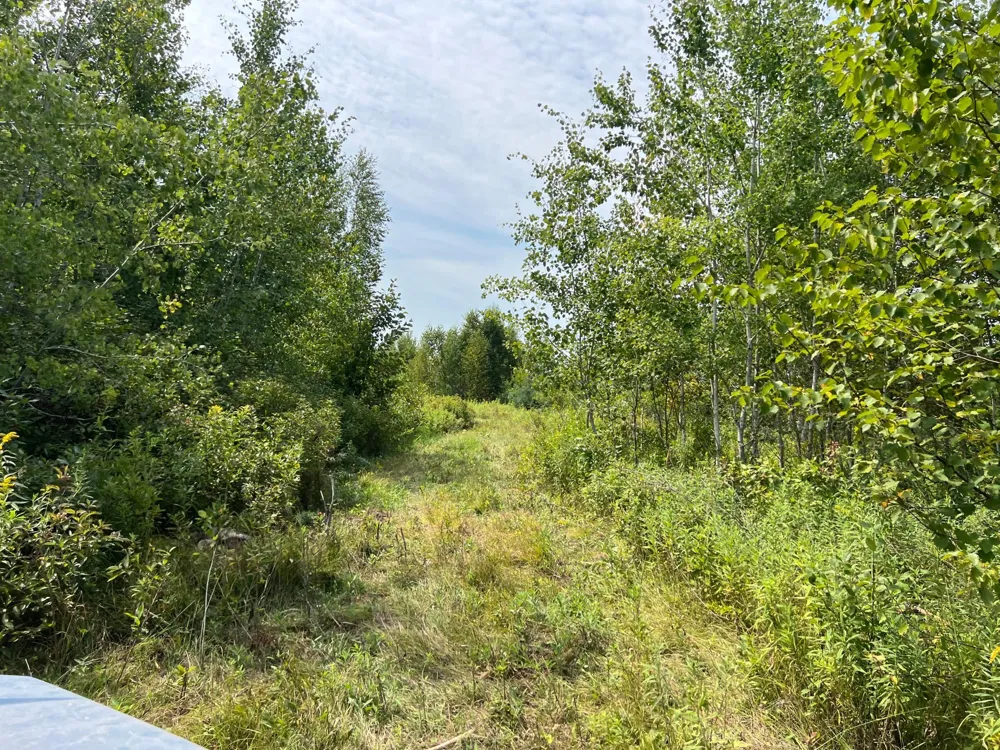 000 State HWY 48 Hinckley, MN 55037