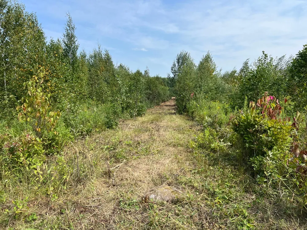 000 State HWY 48 Hinckley, MN 55037