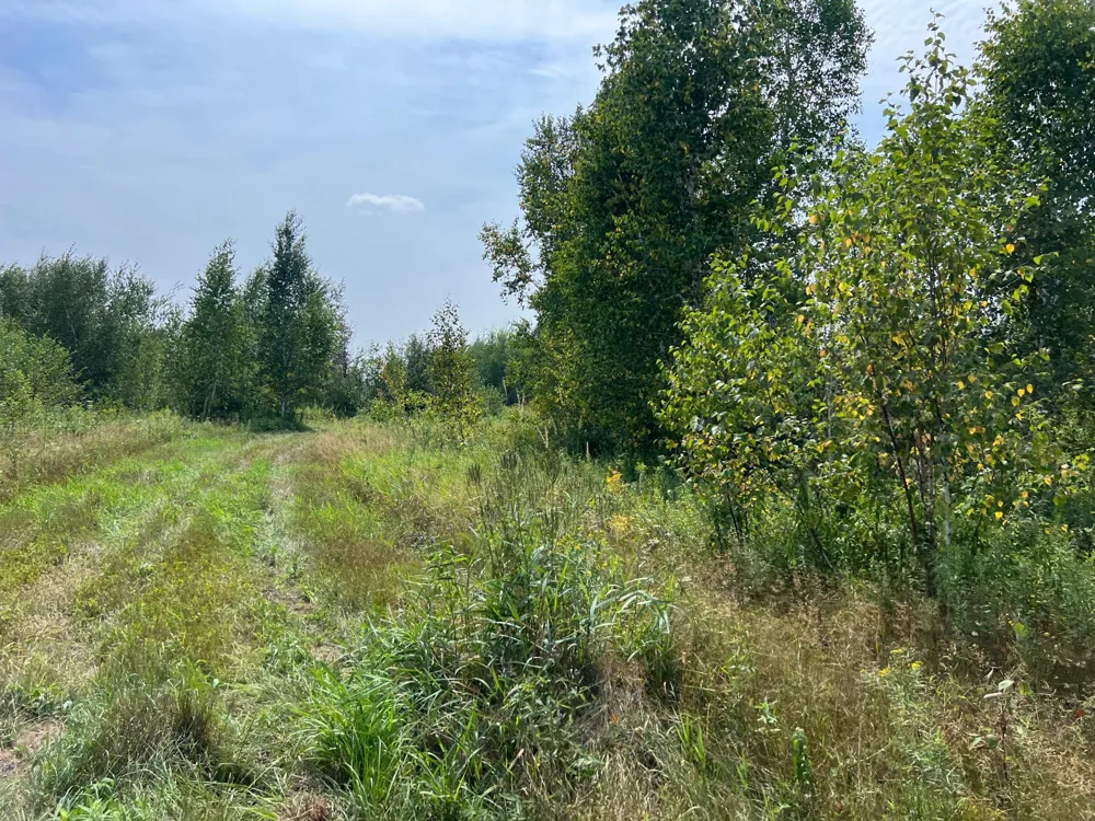 000 State HWY 48 Hinckley, MN 55037