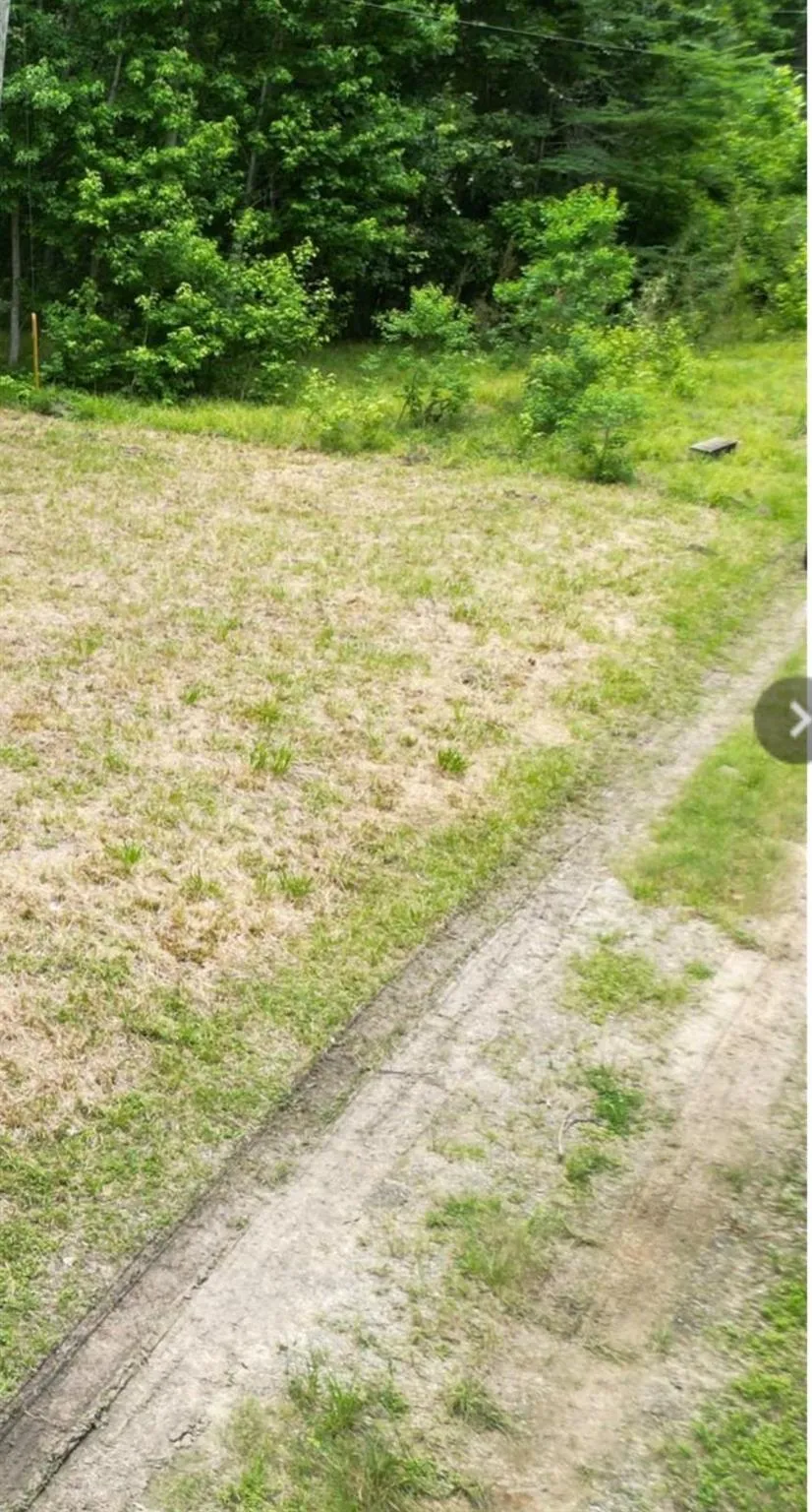 Davis Hill Drive Cleveland, TX 77327