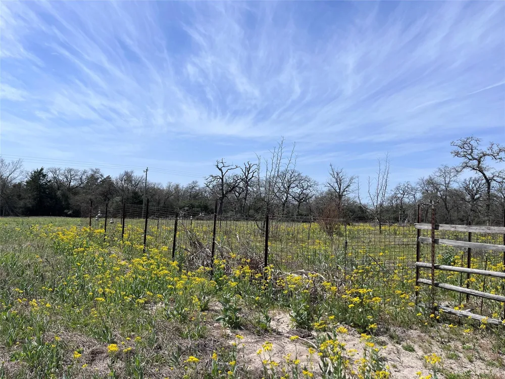 296 Lcr 702 Kosse, TX 76653