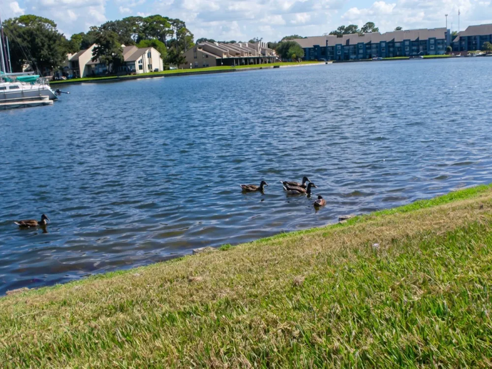 12900 Walden Road #708 Montgomery, TX 77356
