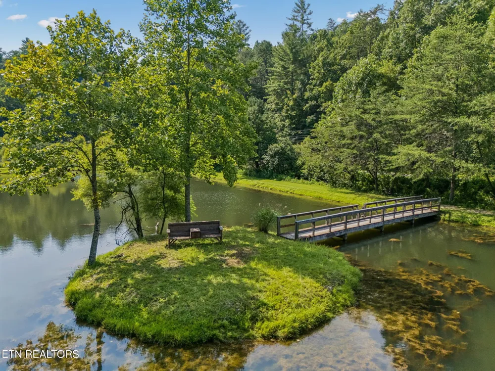 4643 Raven Branch Rd Del Rio, TN 37727
