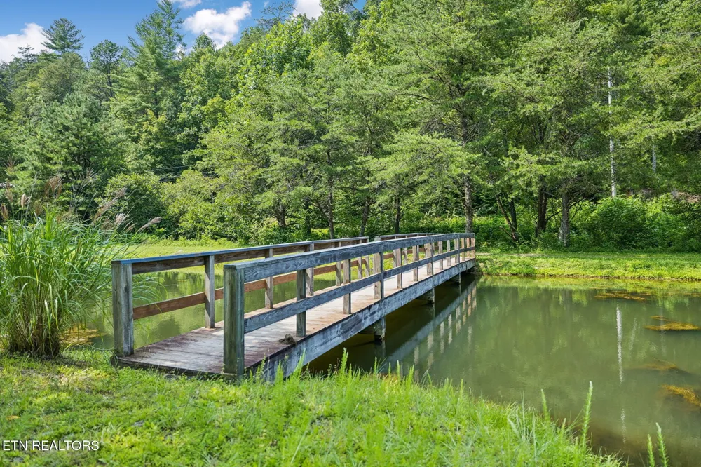 4643 Raven Branch Rd Del Rio, TN 37727