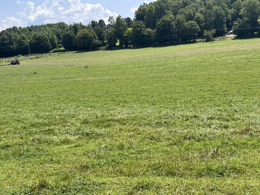 160 County Road 968 Delano, TN 37325