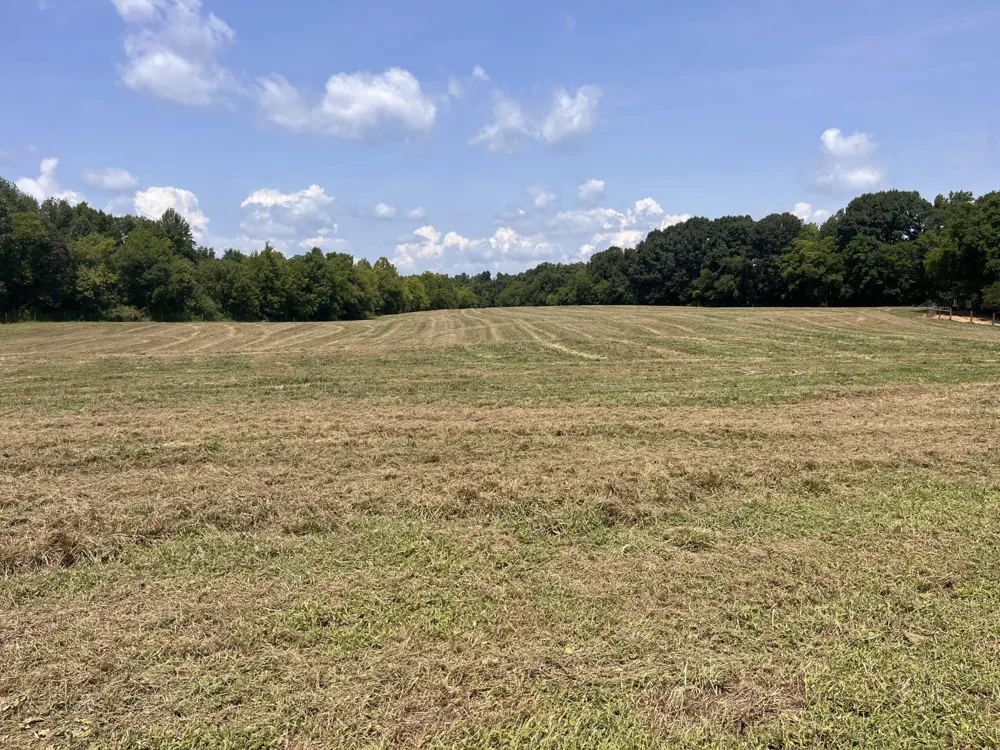 160 County Road 968 Delano, TN 37325